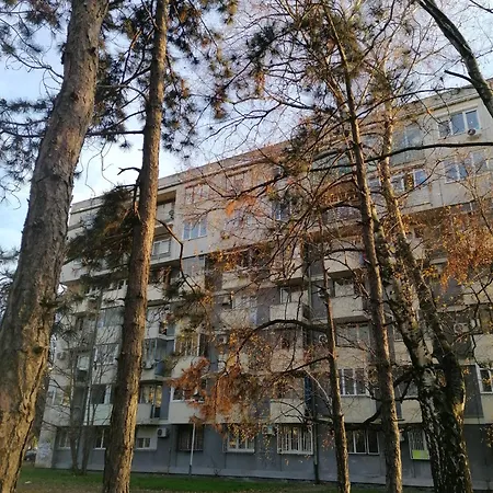 Apartament Azulejo Belgrad